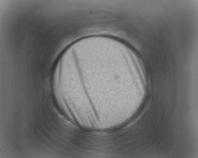 X0000081391501200702090024