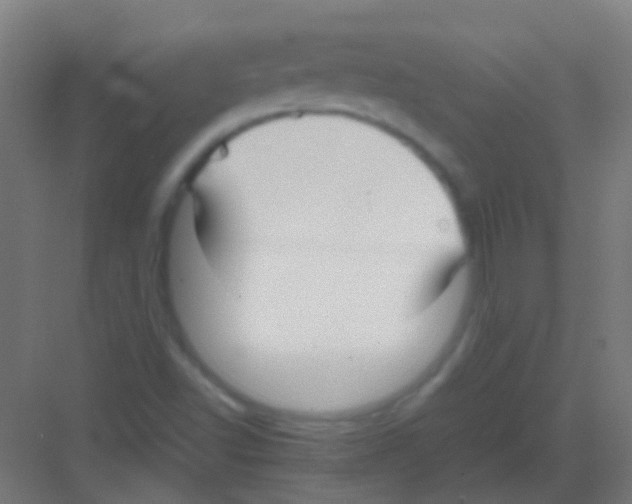 X0000081391502200702090024