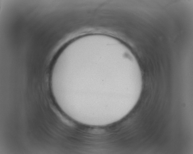 X0000081391503200702090024