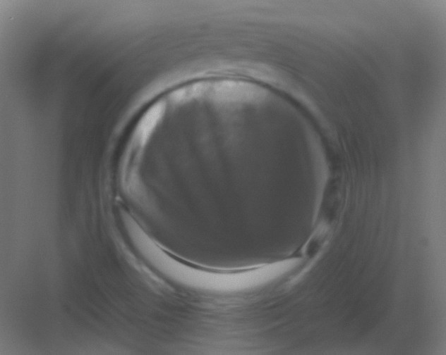 X0000081391506200702090024