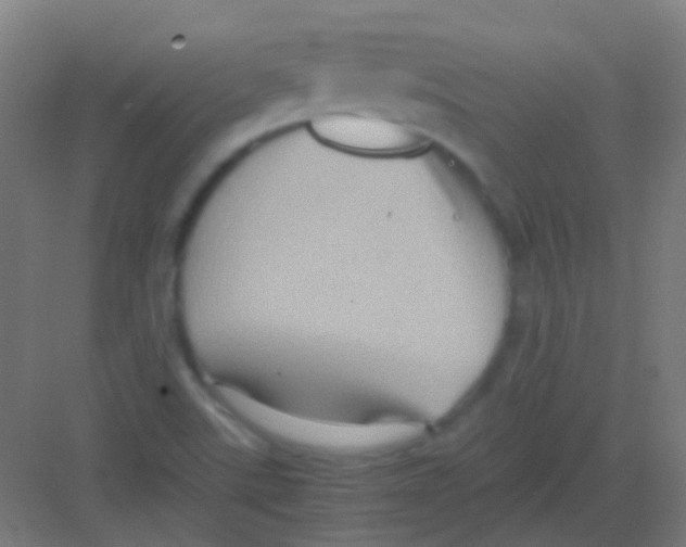 X0000081391507200702090024