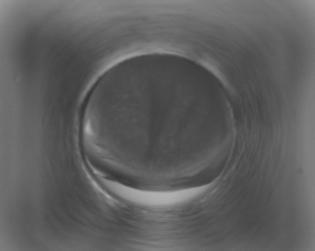 X0000081391508200702090024