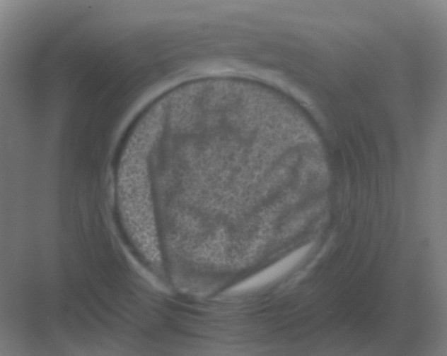 X0000081391509200702090024