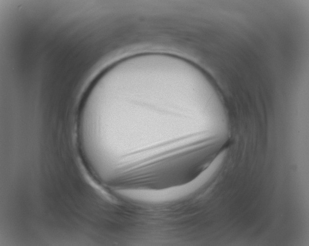 X0000081391511200702090024