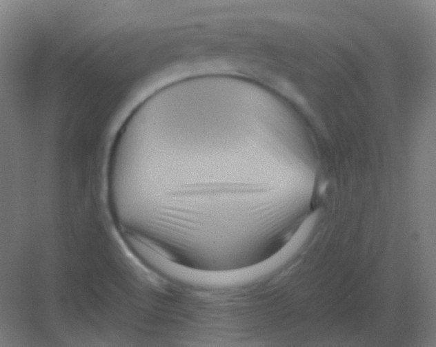 X0000081391512200702090024