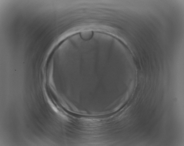 X0000081391515200702090024