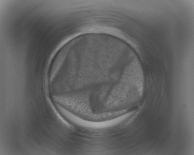 X0000081391517200702090024