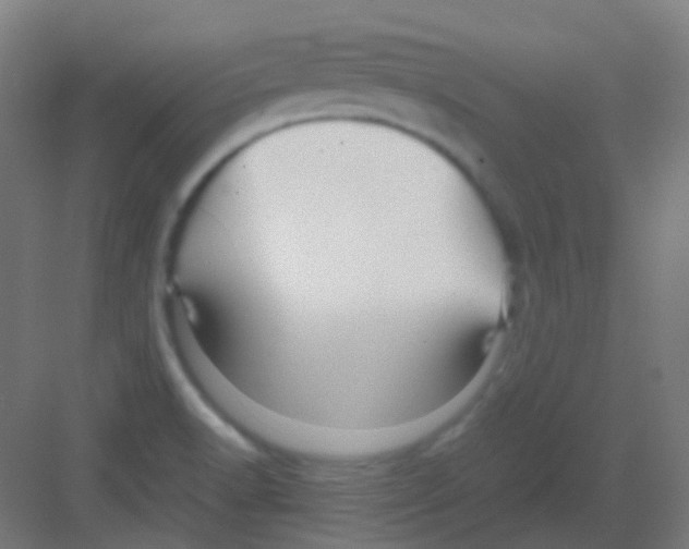 X0000081391518200702090024