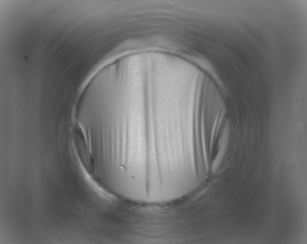 X0000081391524200702090025