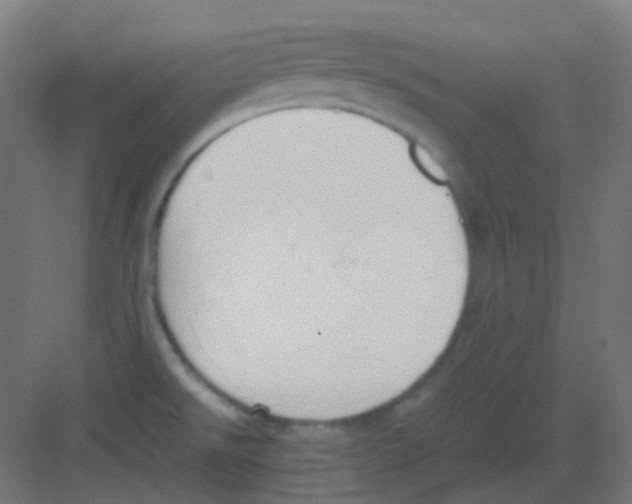 X0000081391526200702090025