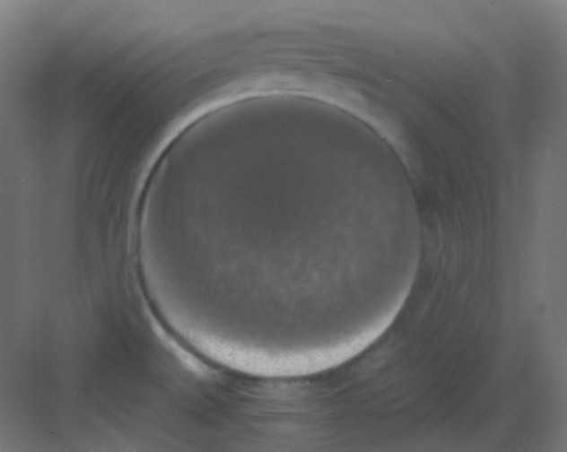 X0000081391527200702090025