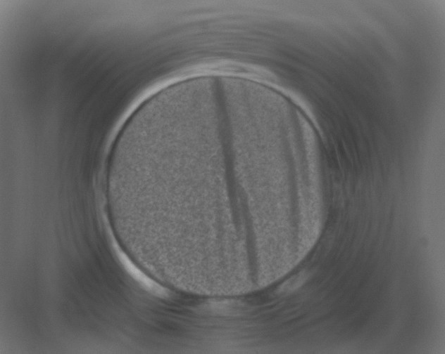 X0000081391531200702090025