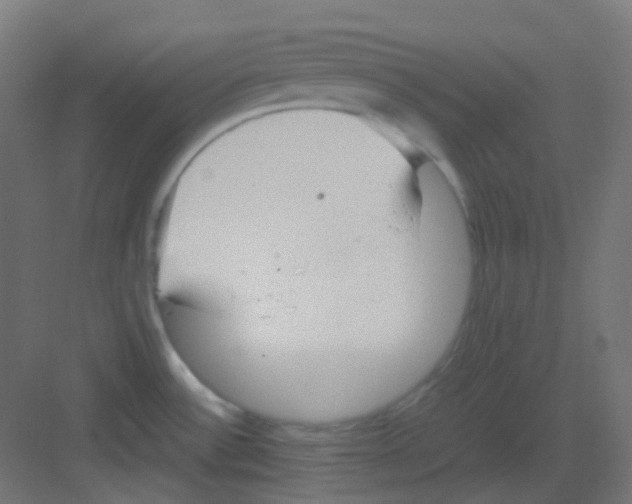 X0000081391532200702090025