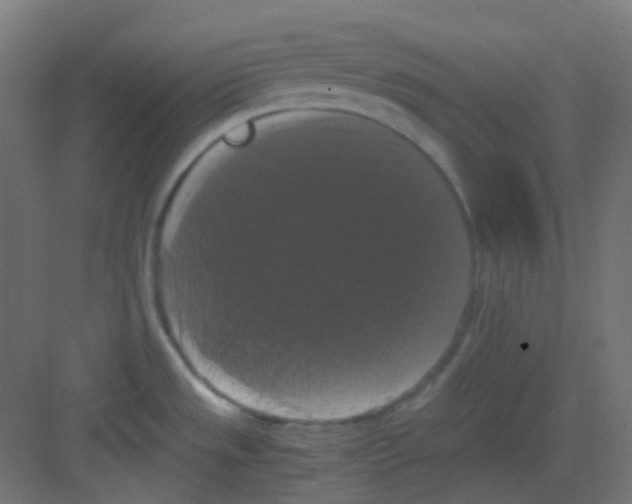 X0000081391533200702090025