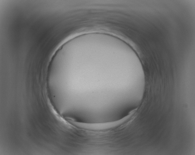 X0000081391534200702090025