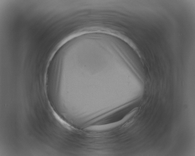 X0000081391535200702090025