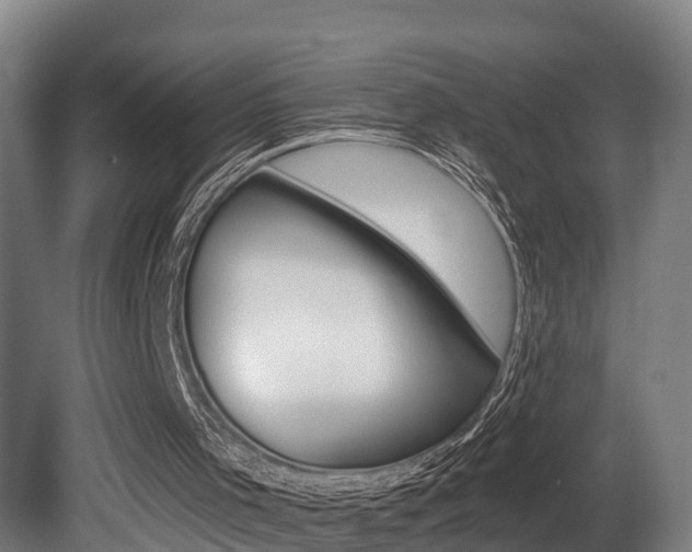 X0000081400001200701111245