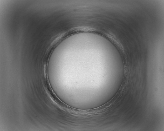 X0000081400014200701111245