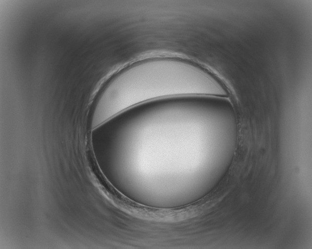 X0000081400015200701111245