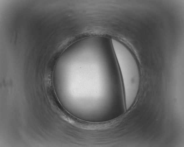 X0000081400017200701111245
