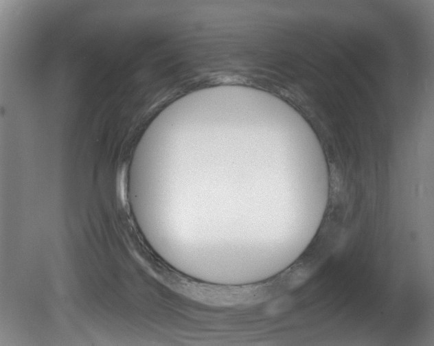 X0000081400028200701111245