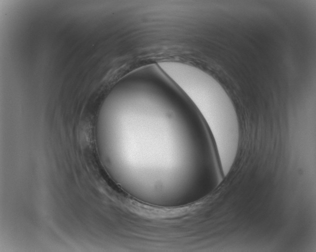 X0000081400035200701111245