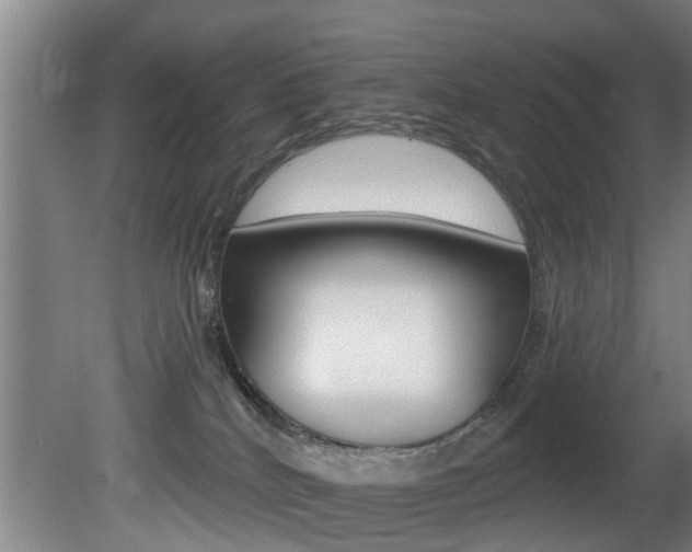 X0000081400040200701111245