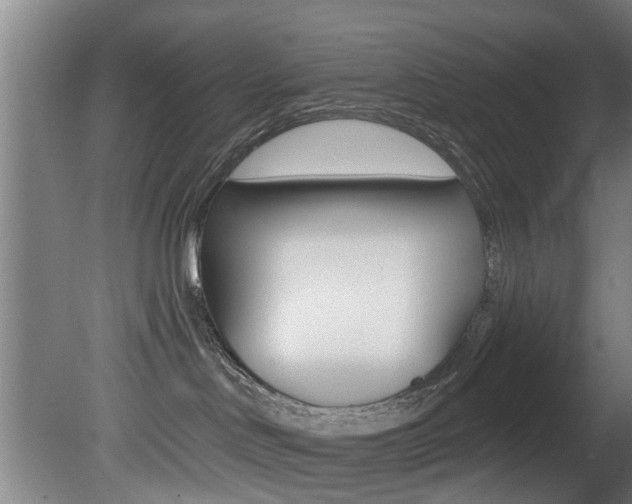 X0000081400046200701111244