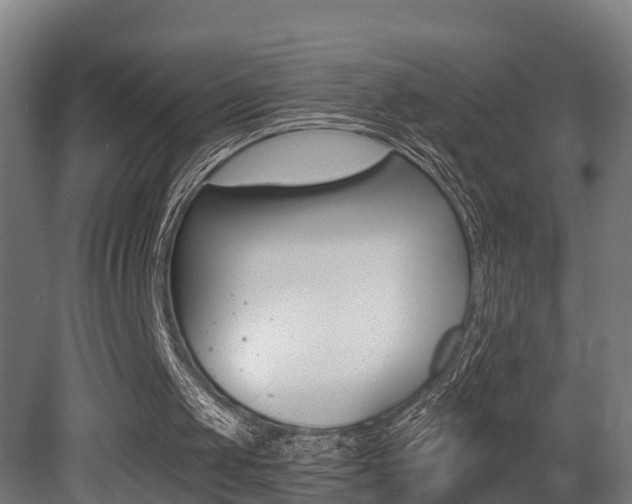 X0000081400049200701111244