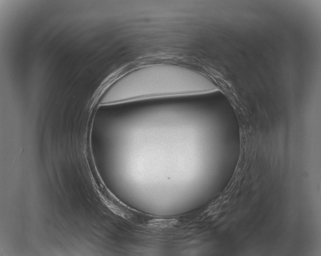 X0000081400051200701111244