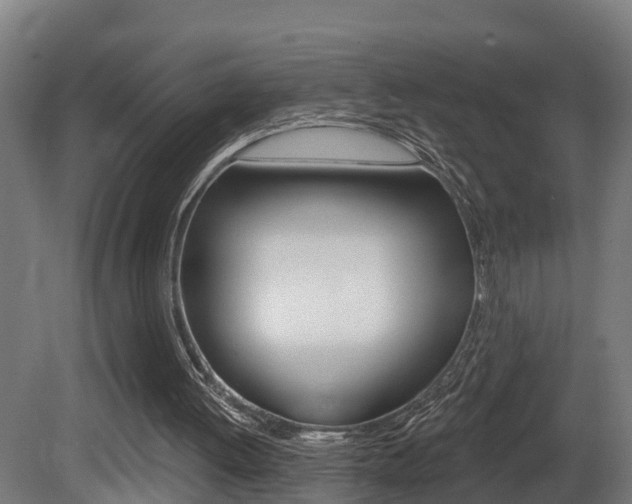 X0000081400052200701111244