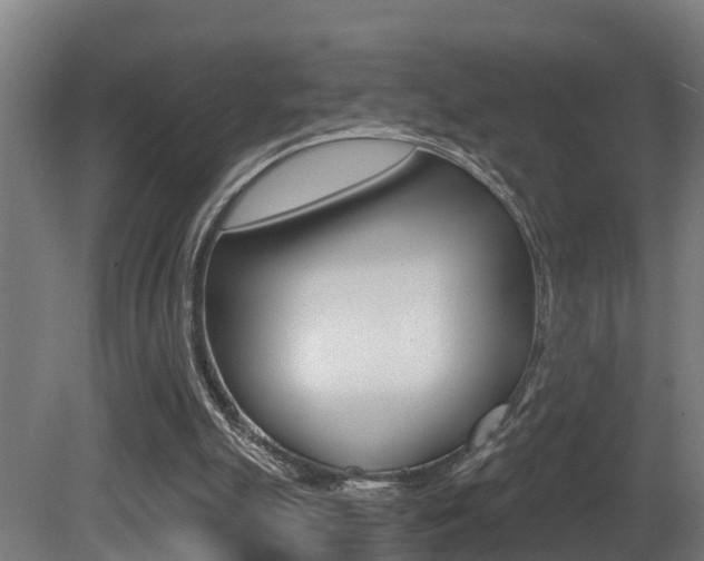 X0000081400055200701111244