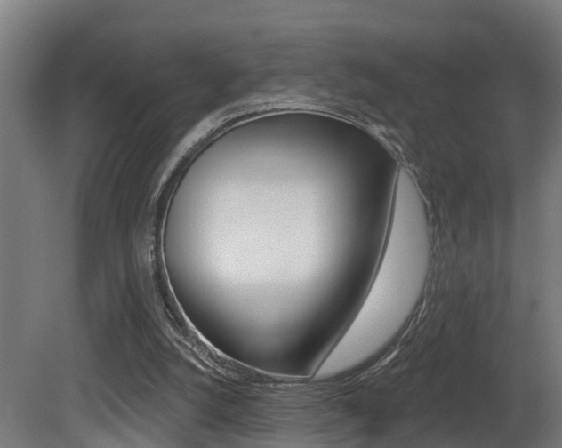 X0000081400056200701111244