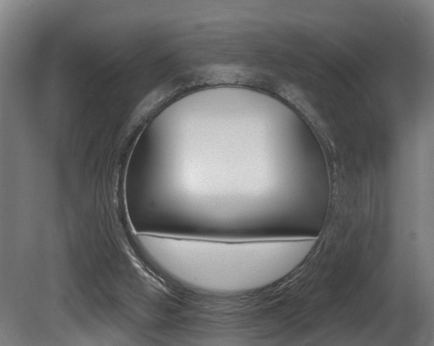 X0000081400058200701111244