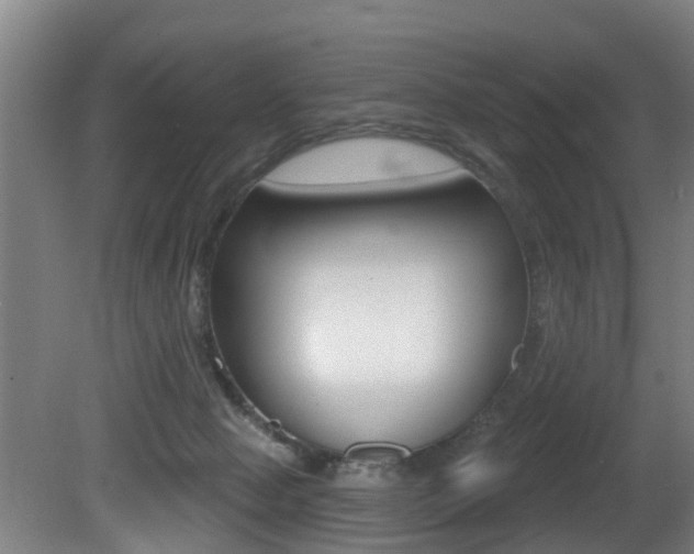 X0000081400077200701111244