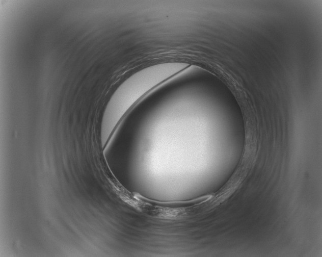 X0000081400096200701111244