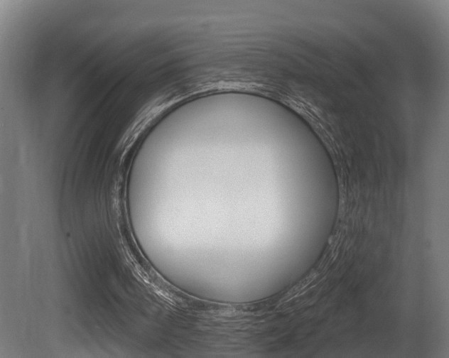 X0000081400098200701111244