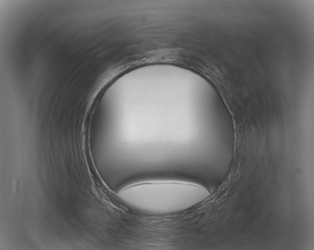 X0000081400100200701111244