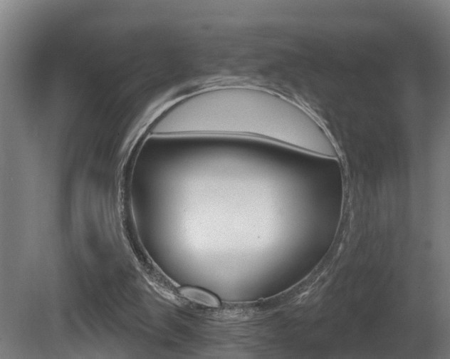 X0000081400103200701111243