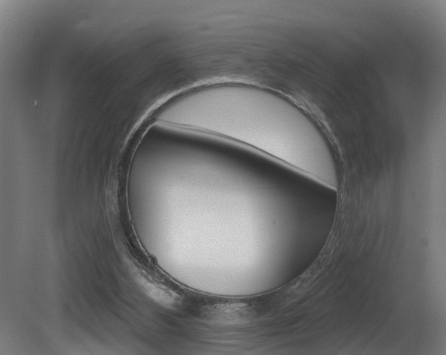 X0000081400108200701111243
