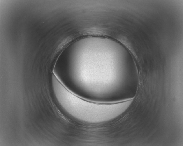 X0000081400109200701111243