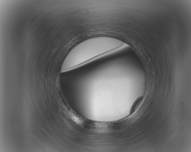 X0000081400144200701111243