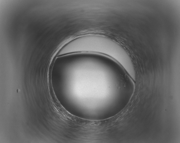 X0000081400148200701111242