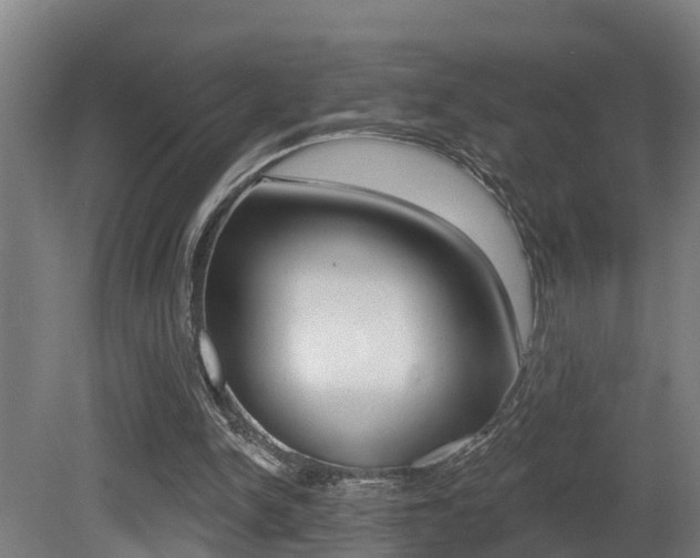 X0000081400150200701111242