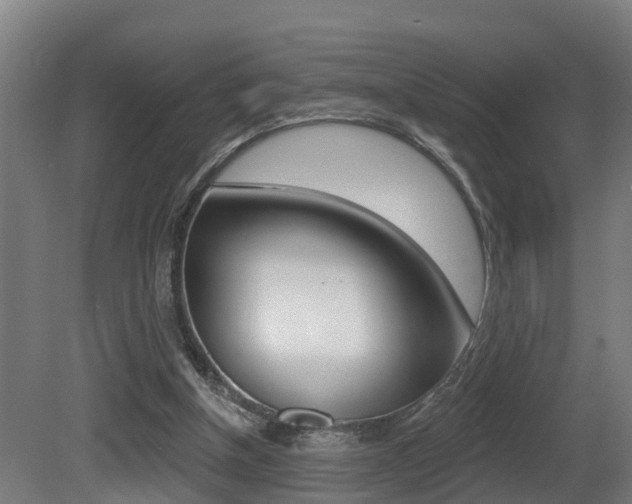 X0000081400154200701111242