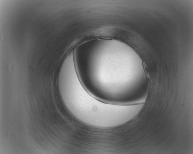 X0000081400168200701111242