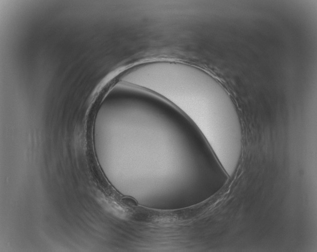 X0000081400200200701111242