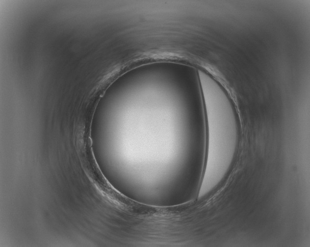 X0000081400201200701111242