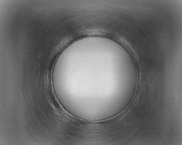 X0000081400202200701111242