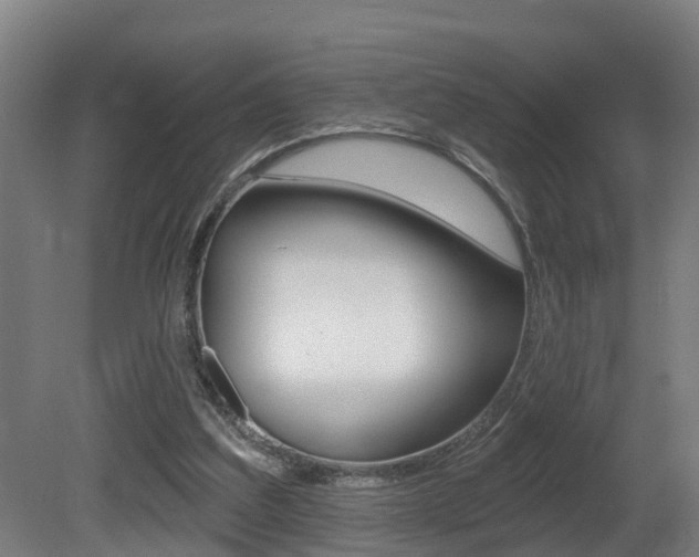 X0000081400203200701111242